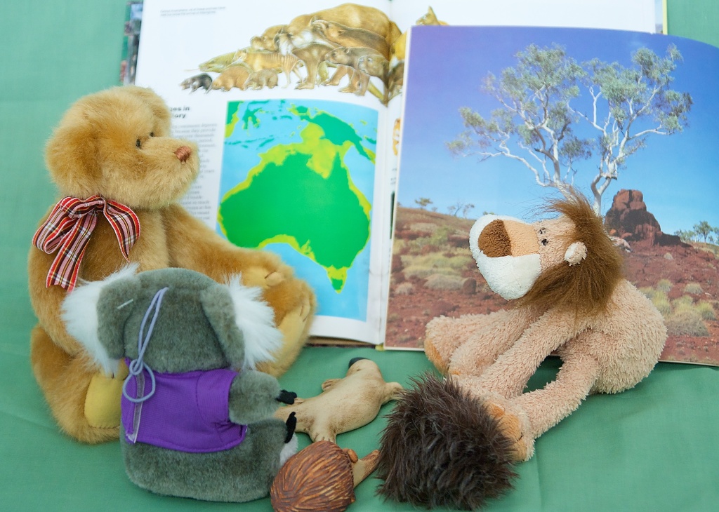 Gavin, Koala, Platypus and the echidnas explain to Lionel Lion that the pictures in the books show Oz-Stray- Ya.
